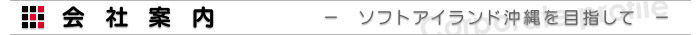 会社案内 -ソフトアイランド沖縄を目指して-