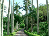 東南植物楽園